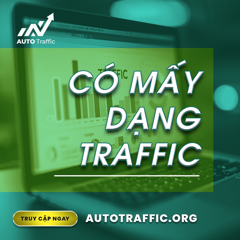 CÓ MẤY DẠNG TRAFFIC